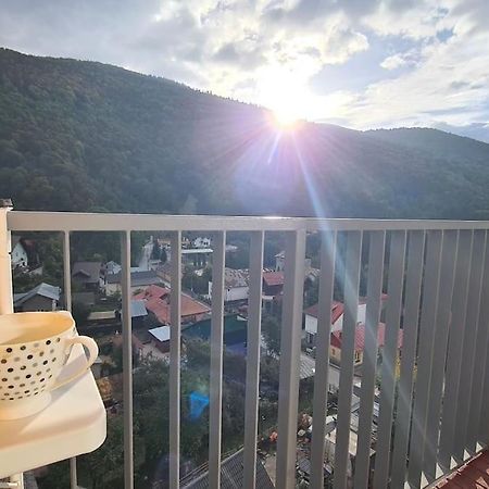 Apartament Vis De Sinaia ! ภายนอก รูปภาพ