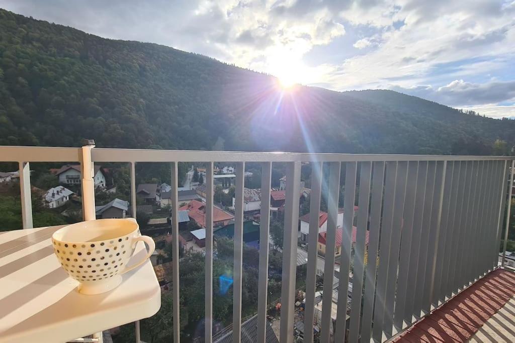 Apartament Vis De Sinaia ! ภายนอก รูปภาพ